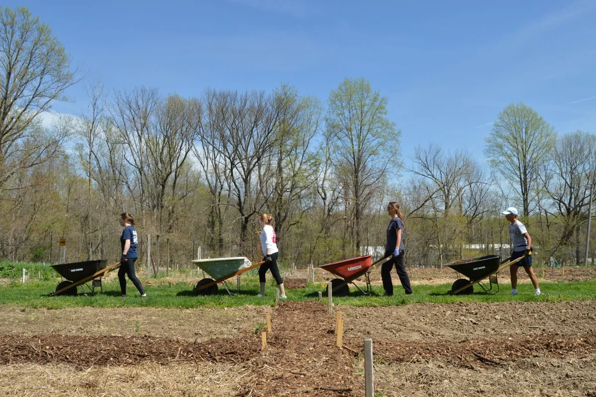 Volunteers tending a community garden